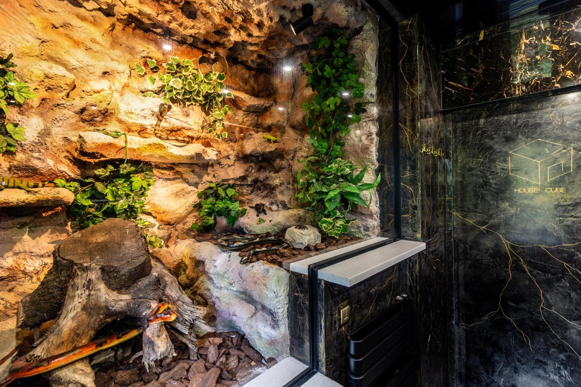 Housecube, Bar , Prywatne Kino, Bilard , Luxus Villa Wrocław Kültér fotó